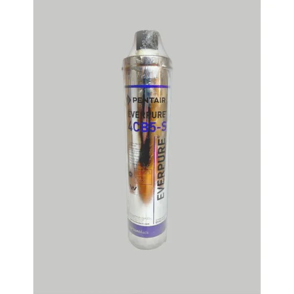 Everpure 4CB5-S EV9617-21 Filter Cartridge Closeout